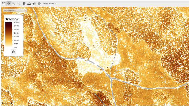 Trädhöjdsraster som visningstjänst via Skogsstyrelsen