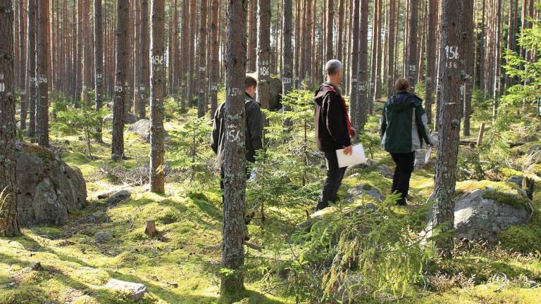 Skogsexkursion i Kolfallet, foto Mats Hannerz.