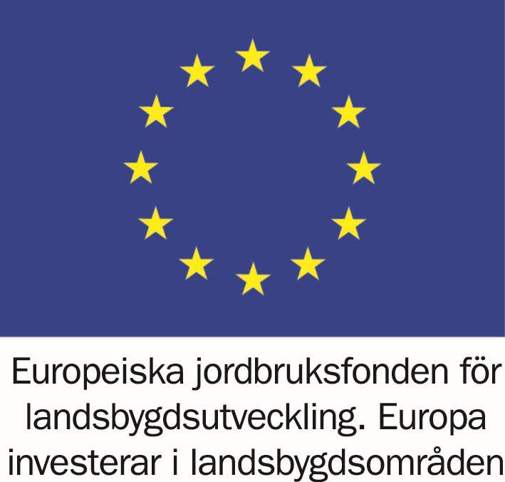 EU logga Svensk (002).jpg