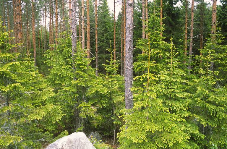 20100316_ErikViklund_115.jpg