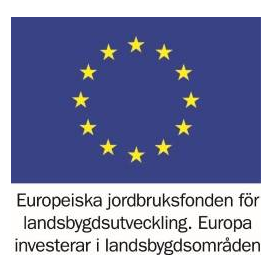 EU-logotyp.png