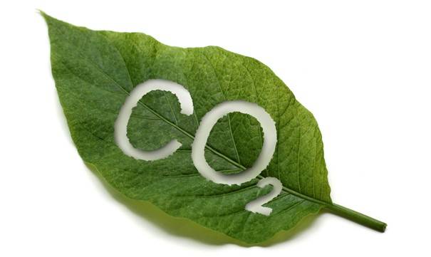 CO2_löv.jpg