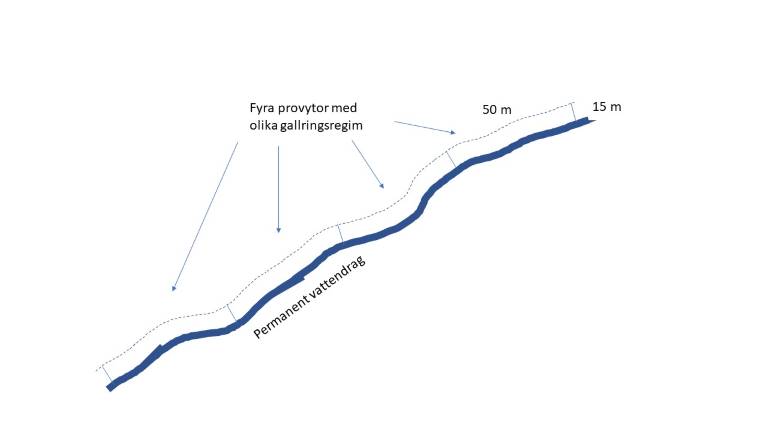 Bild1.JPG