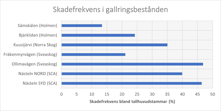 Bild17.png