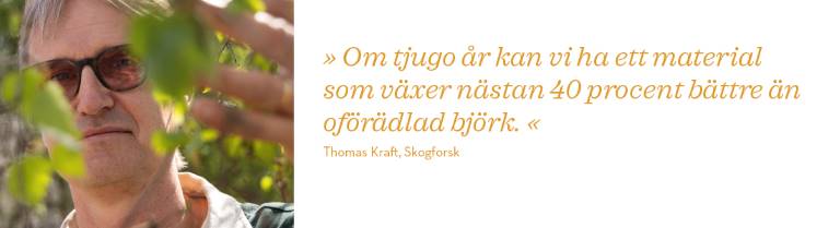 ThomasKraft3.jpg