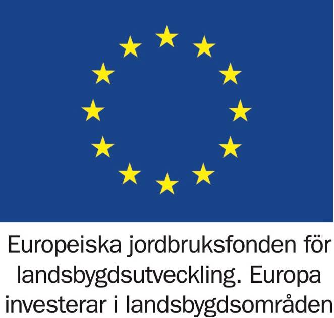 EU-logga.jpg
