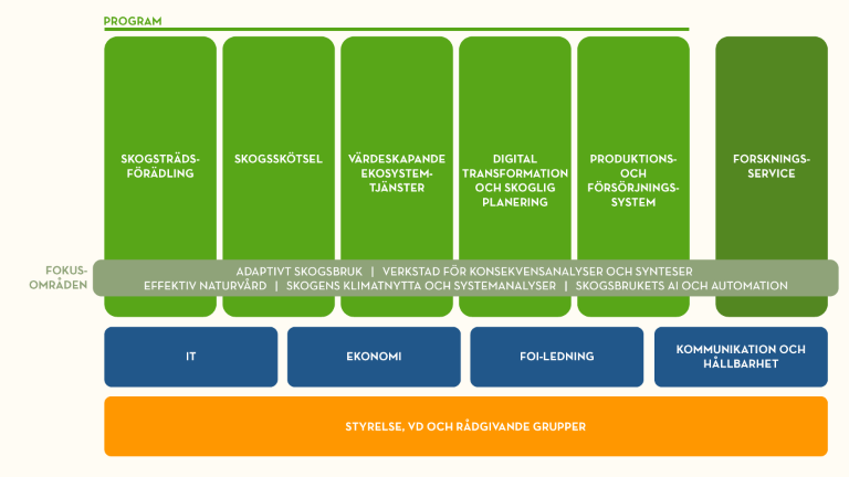 ORGschema.png