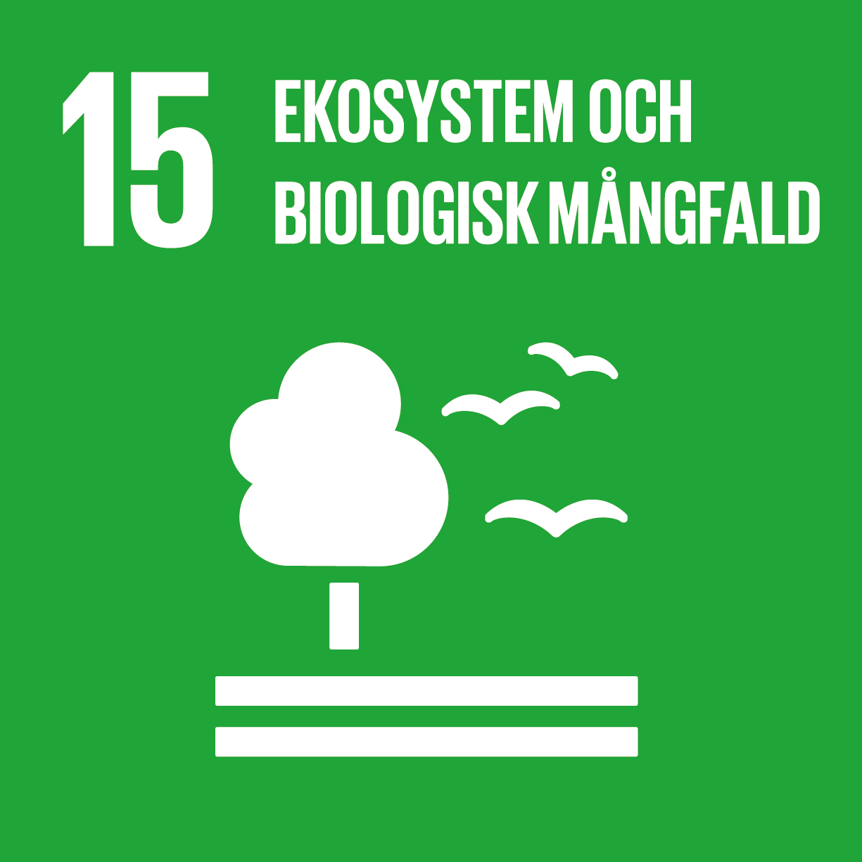 Ekosystem och biologisk mångfald