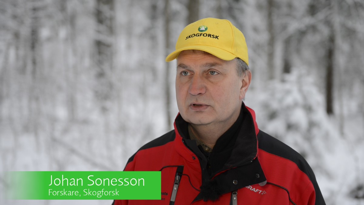 Film Skogforsks arbete inom Future Forests Skogforsk