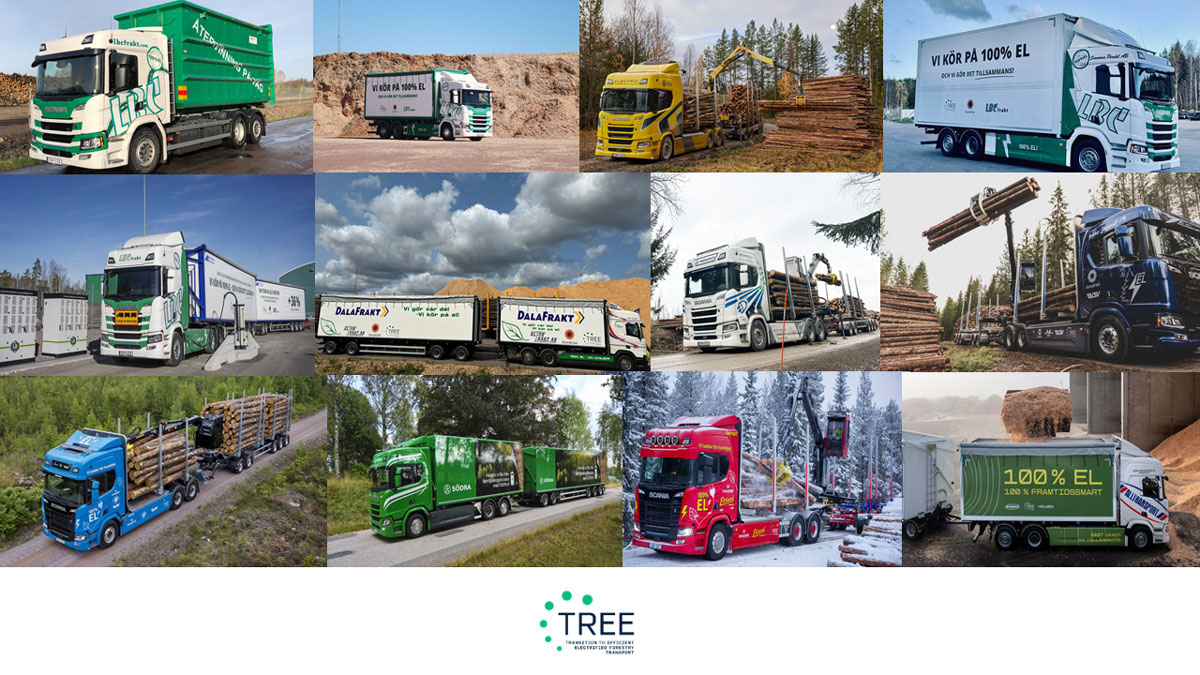 TREE: effektiva, elektrifierade skogstransporter - Skogforsk