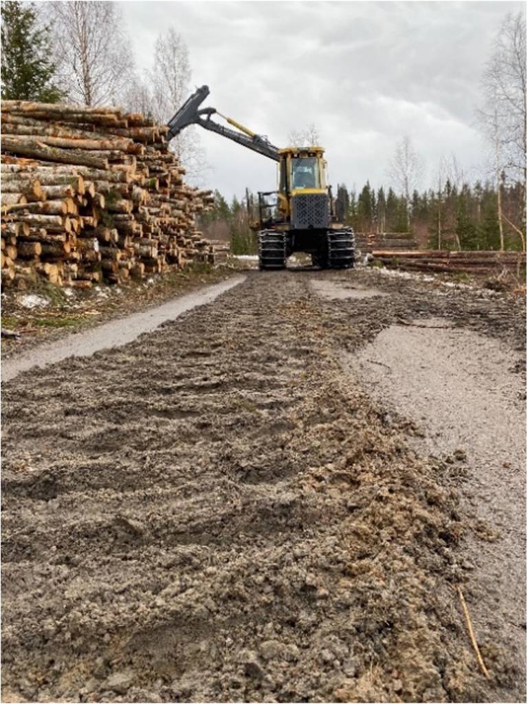 vägskada av skogsmaskin