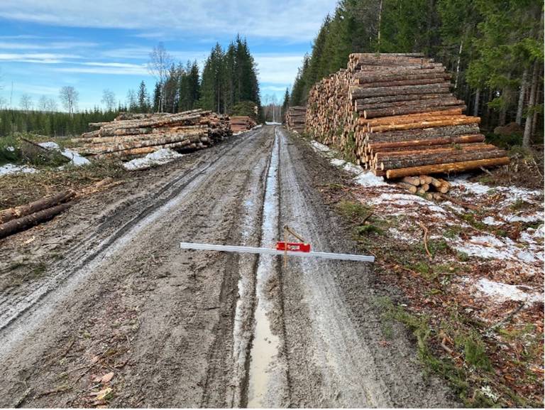 14 cm djup spårskada