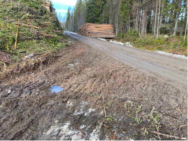 skador p&aring; v&auml;gens bredd